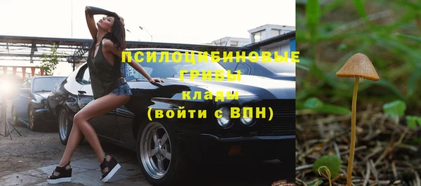трава Покачи