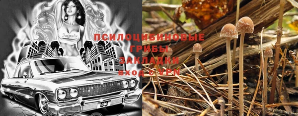 трава Покачи