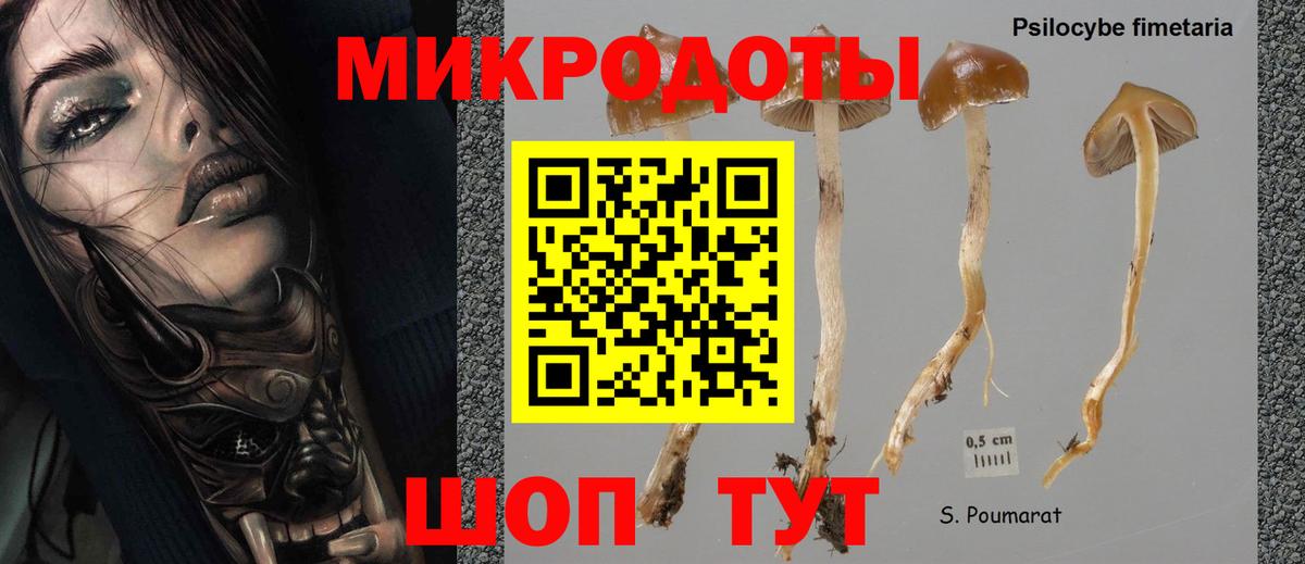 Владикавказ  Псилоцибиновые грибы Psilocybe  Вход с VPN  Галлюциногенные грибы Magic Shrooms 